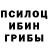 Галлюциногенные грибы Cubensis Sasha Chivel