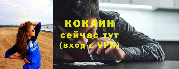 ПСИЛОЦИБИНОВЫЕ ГРИБЫ Кулебаки