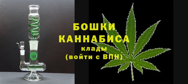 МДПВ Кукмор