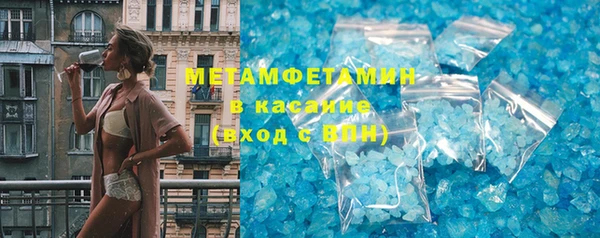 прущие грибы Лабытнанги