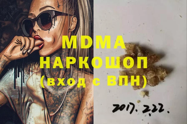 прущие грибы Лабытнанги