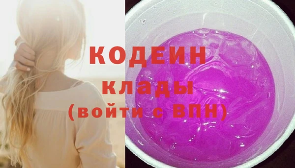 прущие грибы Лабытнанги