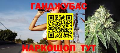 шишки Берёзовский