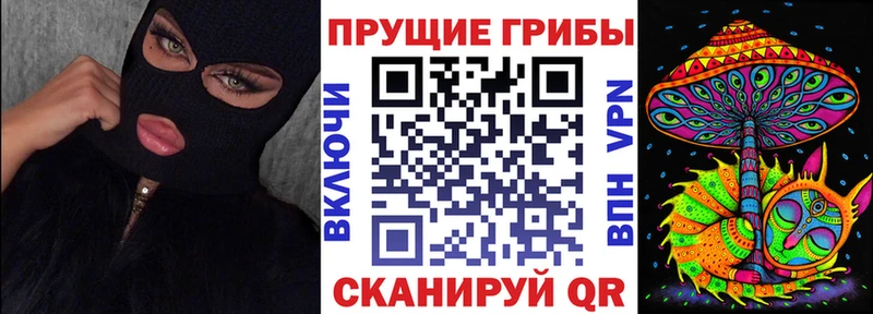 купить закладку Луга Галлюциногенные грибы Psilocybe